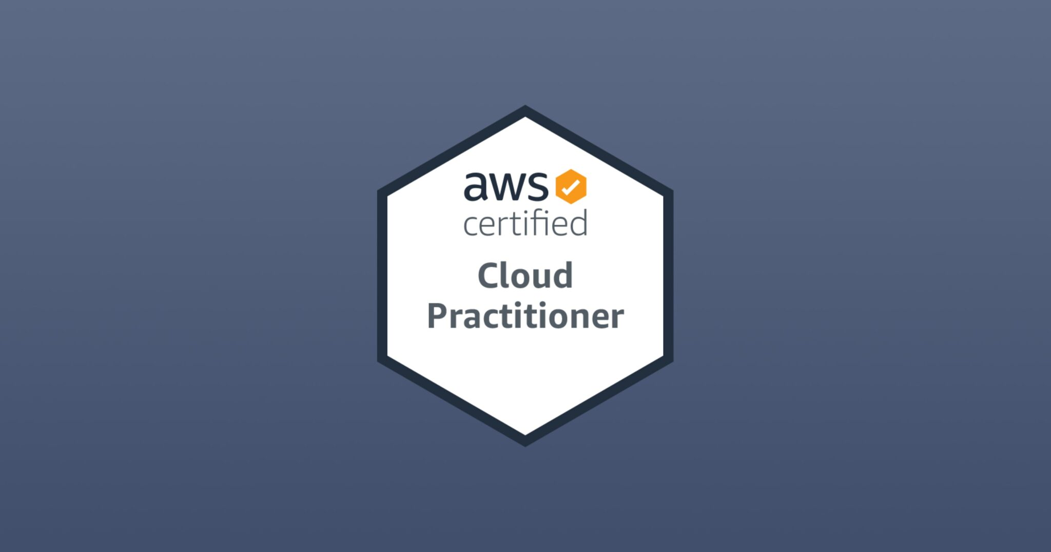 Sample AWS-Certified-Cloud-Practitioner Questions