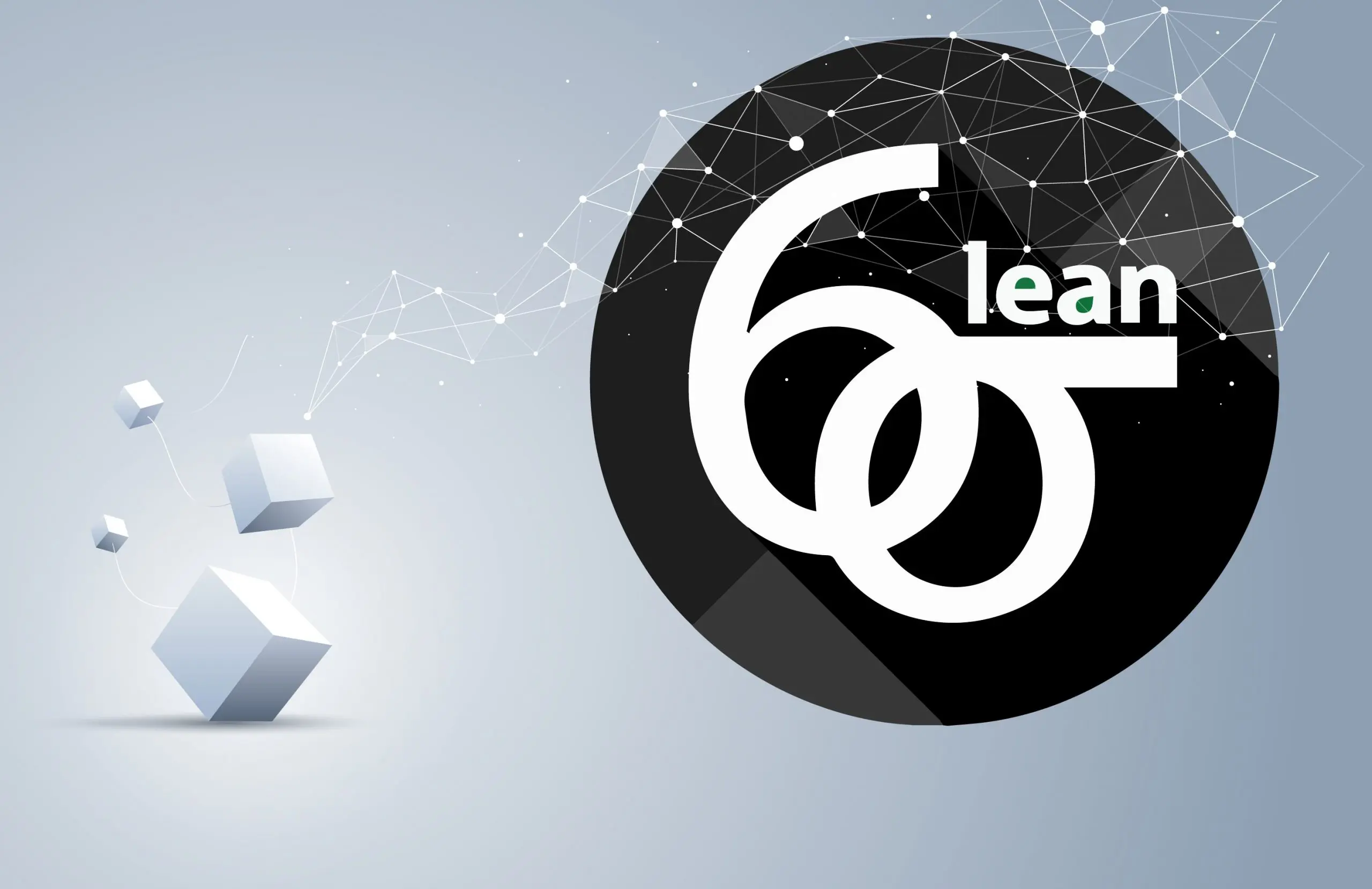 Lean Six Sigma – Black Belt - Sns-Brigh10